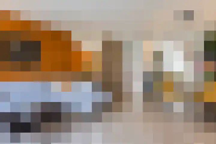 Stuw 4 Doesburg thumbnail 22