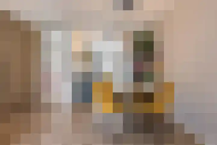 Stuw 4 Doesburg thumbnail 24