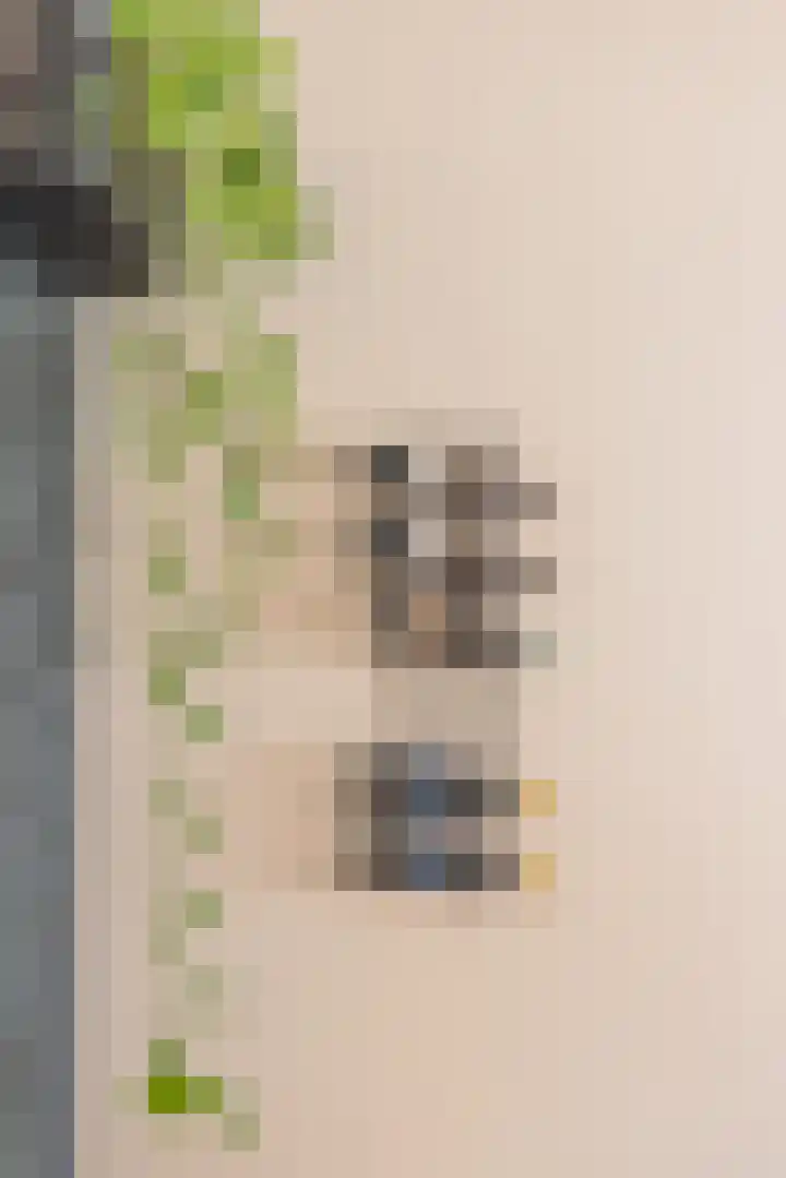 Stuw 4 Doesburg thumbnail 27