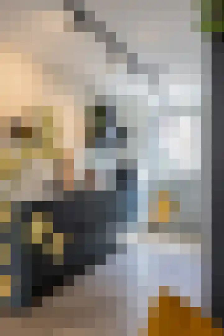 Stuw 4 Doesburg thumbnail 29