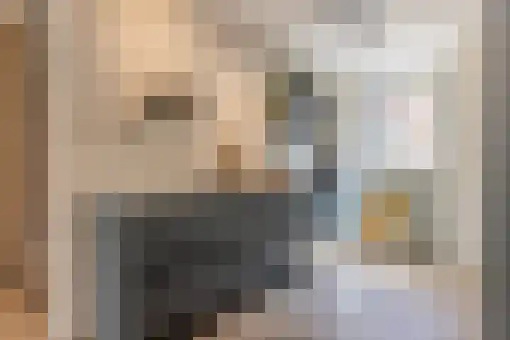 Stuw 4 Doesburg thumbnail 32