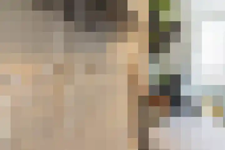 Stuw 4 Doesburg thumbnail 33