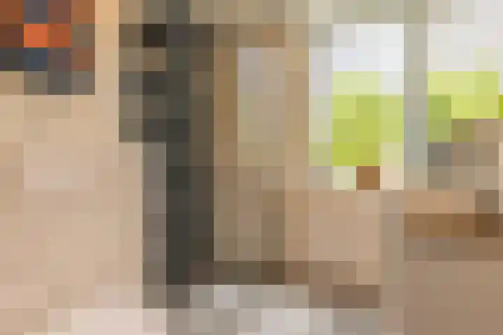Stuw 4 Doesburg thumbnail 4