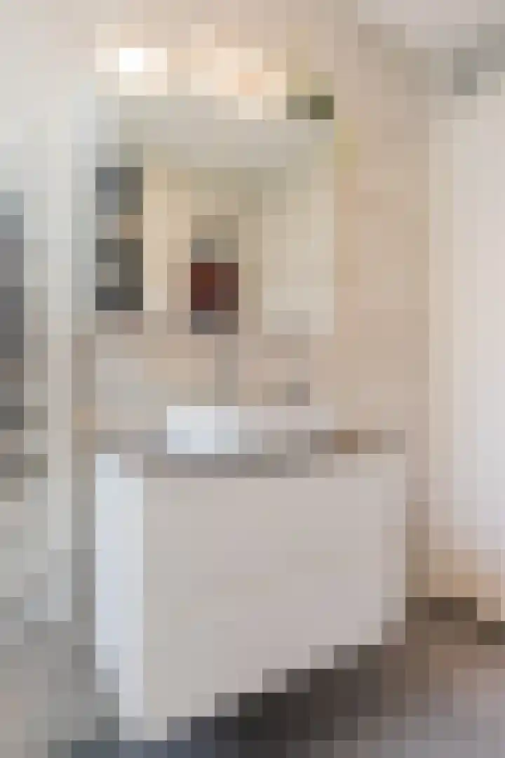 Stuw 4 Doesburg thumbnail 40