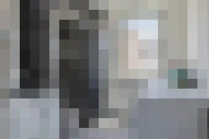Stuw 4 Doesburg thumbnail 47