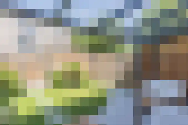 Stuw 4 Doesburg thumbnail 5