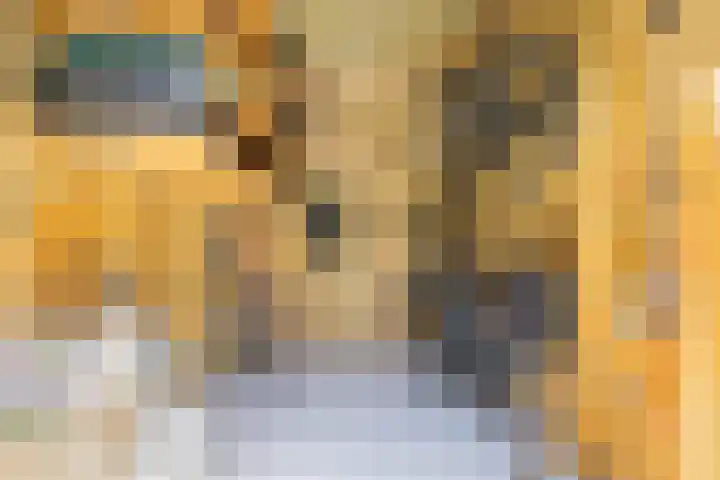 Stuw 4 Doesburg thumbnail 54