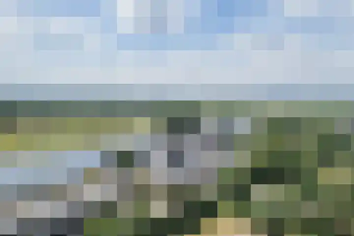 Stuw 4 Doesburg thumbnail 58