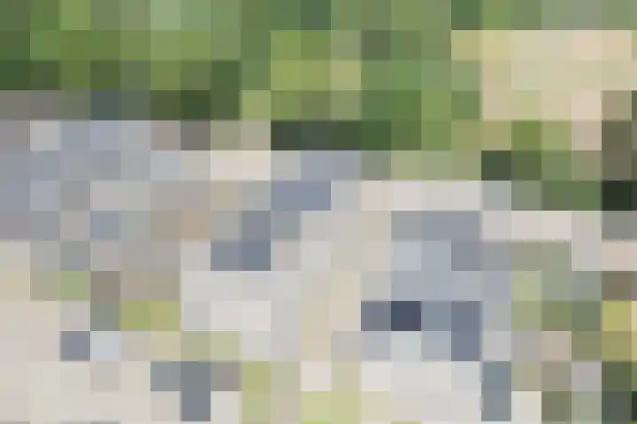 Stuw 4 Doesburg thumbnail 7