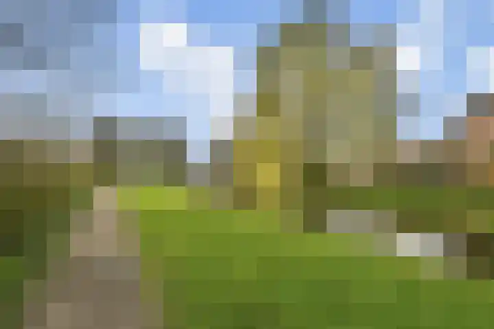 Stuwdam 47 Amstelveen thumbnail 25