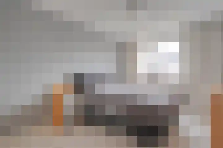 Stuwwal 11 Steenwijk thumbnail 13
