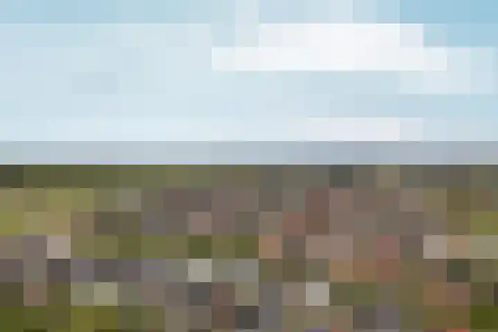 Stuwwal 11 Steenwijk thumbnail 18