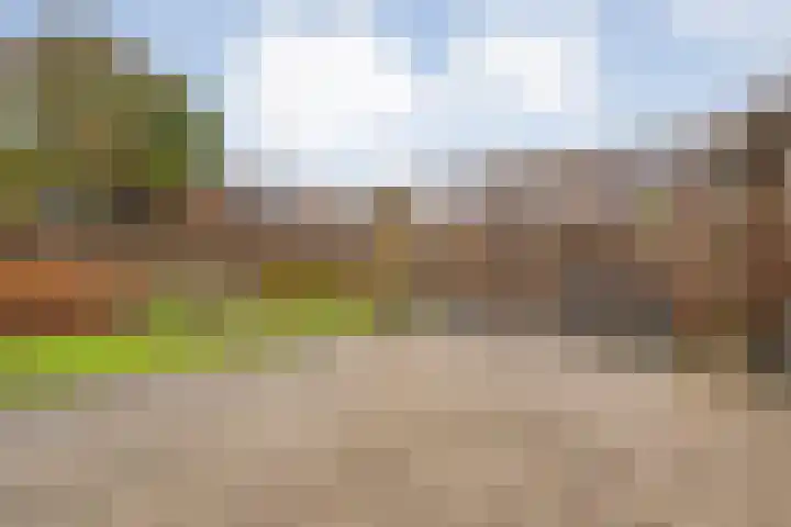 Stuwwal 11 Steenwijk thumbnail 26