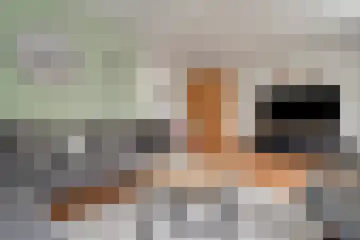 Stuwwal 11 Steenwijk thumbnail 4