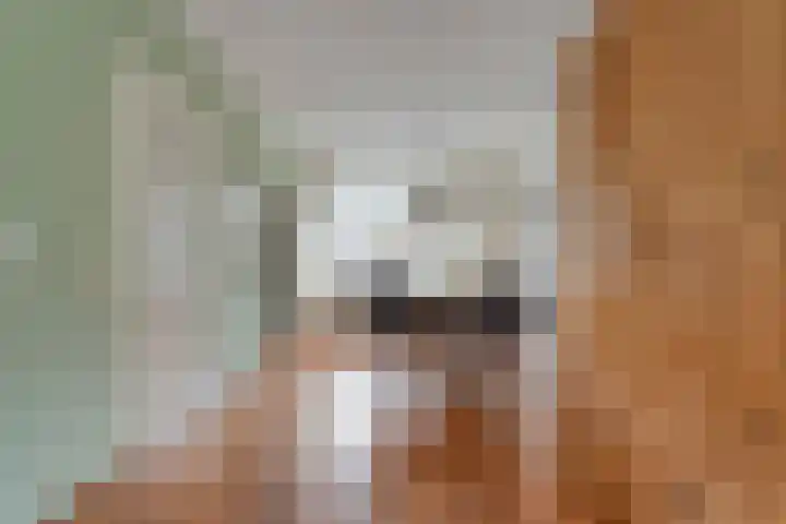 Stuwwal 11 Steenwijk thumbnail 5