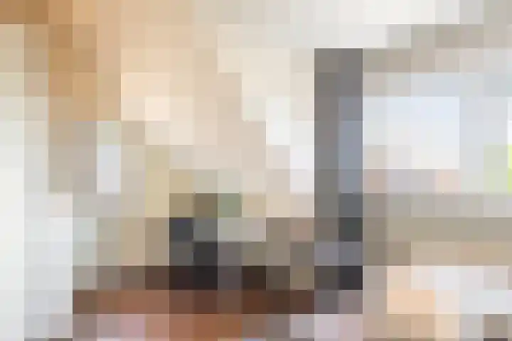 Stuwwal 11 Steenwijk thumbnail 6