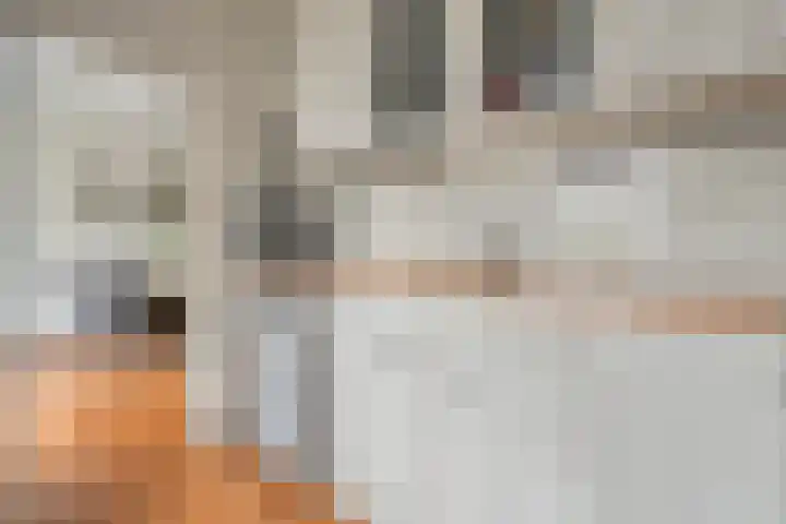 Stuwwal 11 Steenwijk thumbnail 8