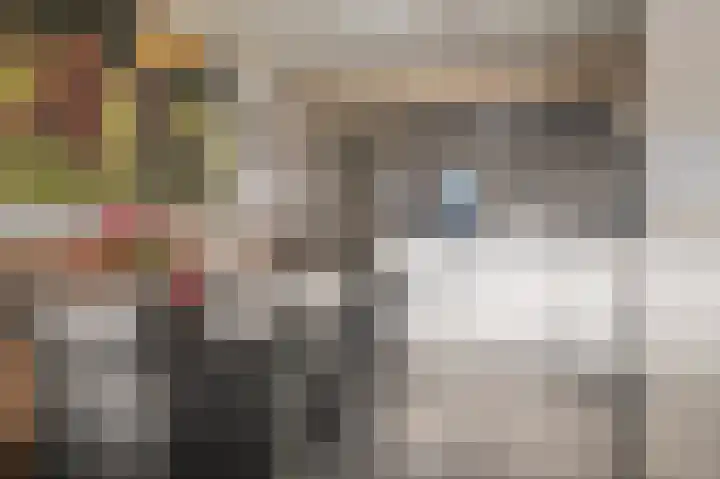 Stuwwal 66 Steenwijk thumbnail 18