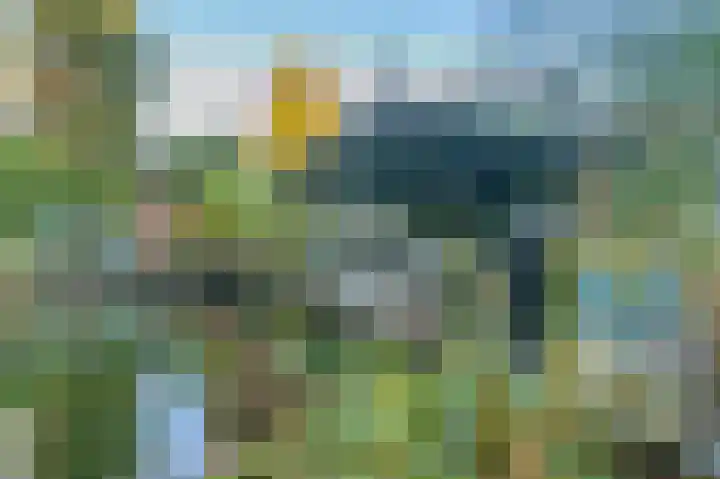 Stuwwal 66 Steenwijk thumbnail 34