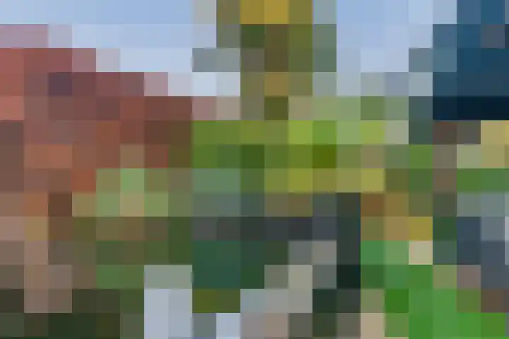 Stuwwal 66 Steenwijk thumbnail 39