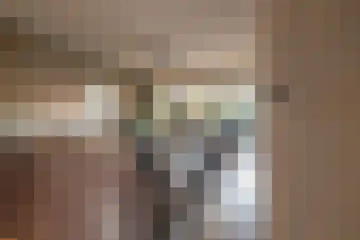 Stuwwal 66 Steenwijk thumbnail 5