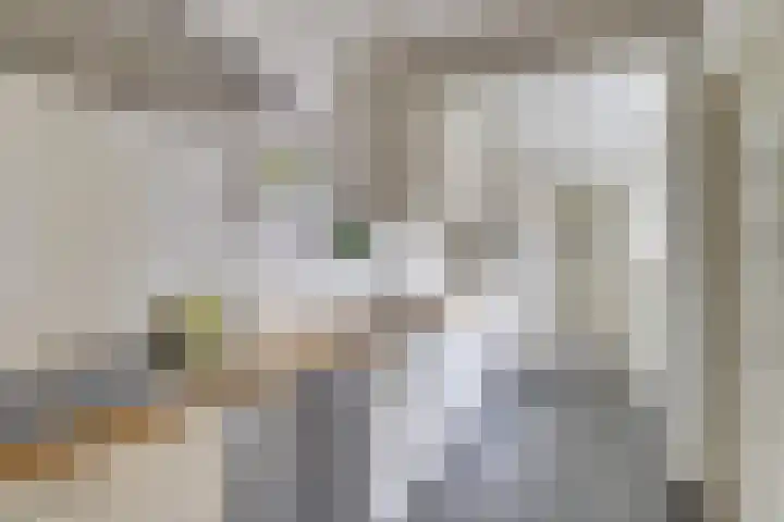 Súd 35 Workum thumbnail 12