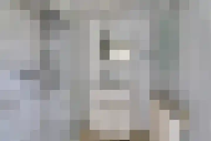 Súd 35 Workum thumbnail 14