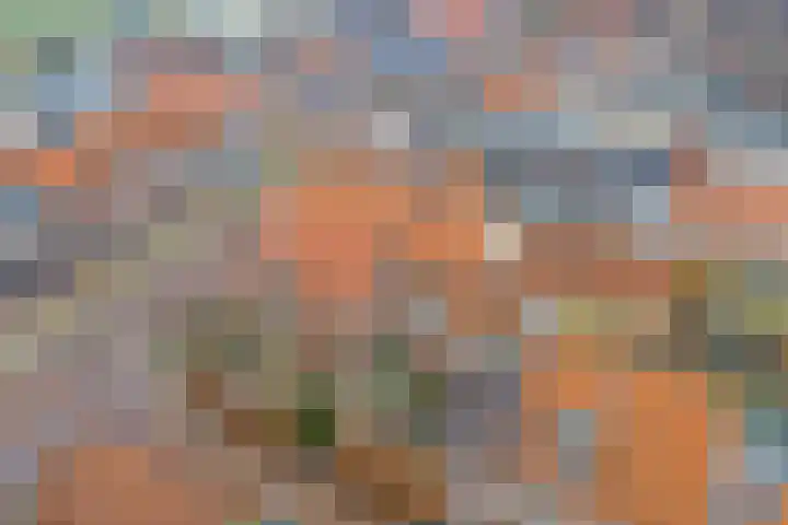 Súd 35 Workum thumbnail 23