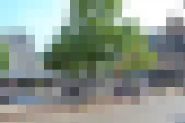 Súd 35 Workum thumbnail 29