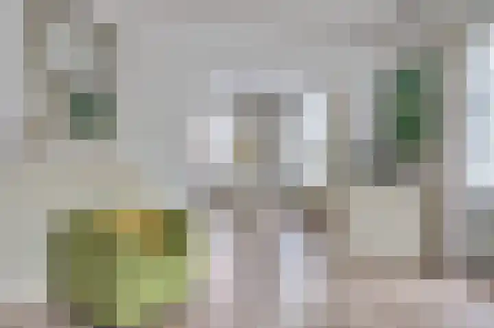 Súd 35 Workum thumbnail 9