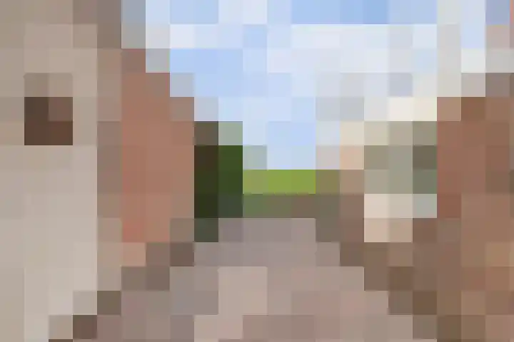 Súd 96 Workum thumbnail 24