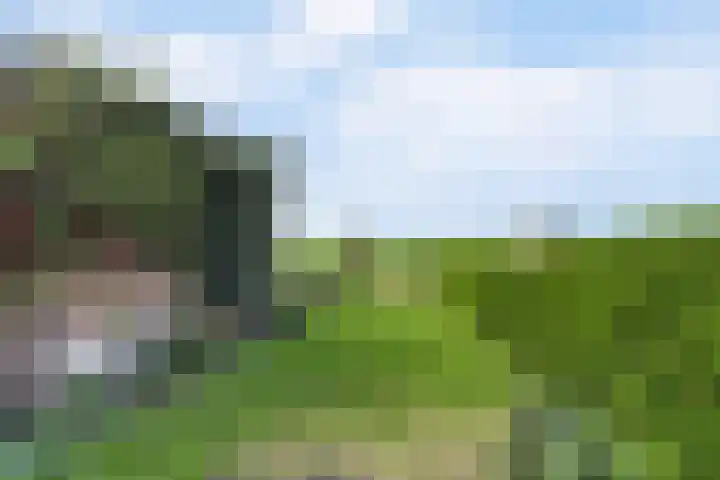 Súd 96 Workum thumbnail 27