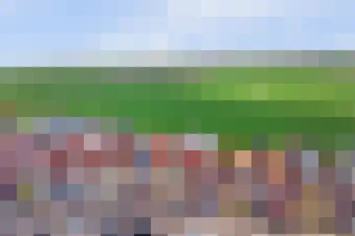 Súd 96 Workum foto 3