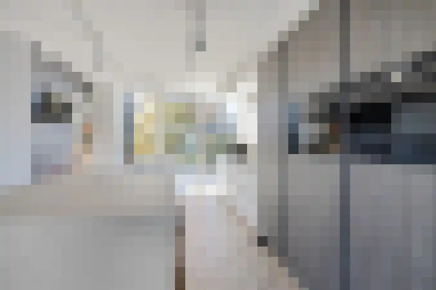 Sudermuda 25 Leeuwarden thumbnail 13