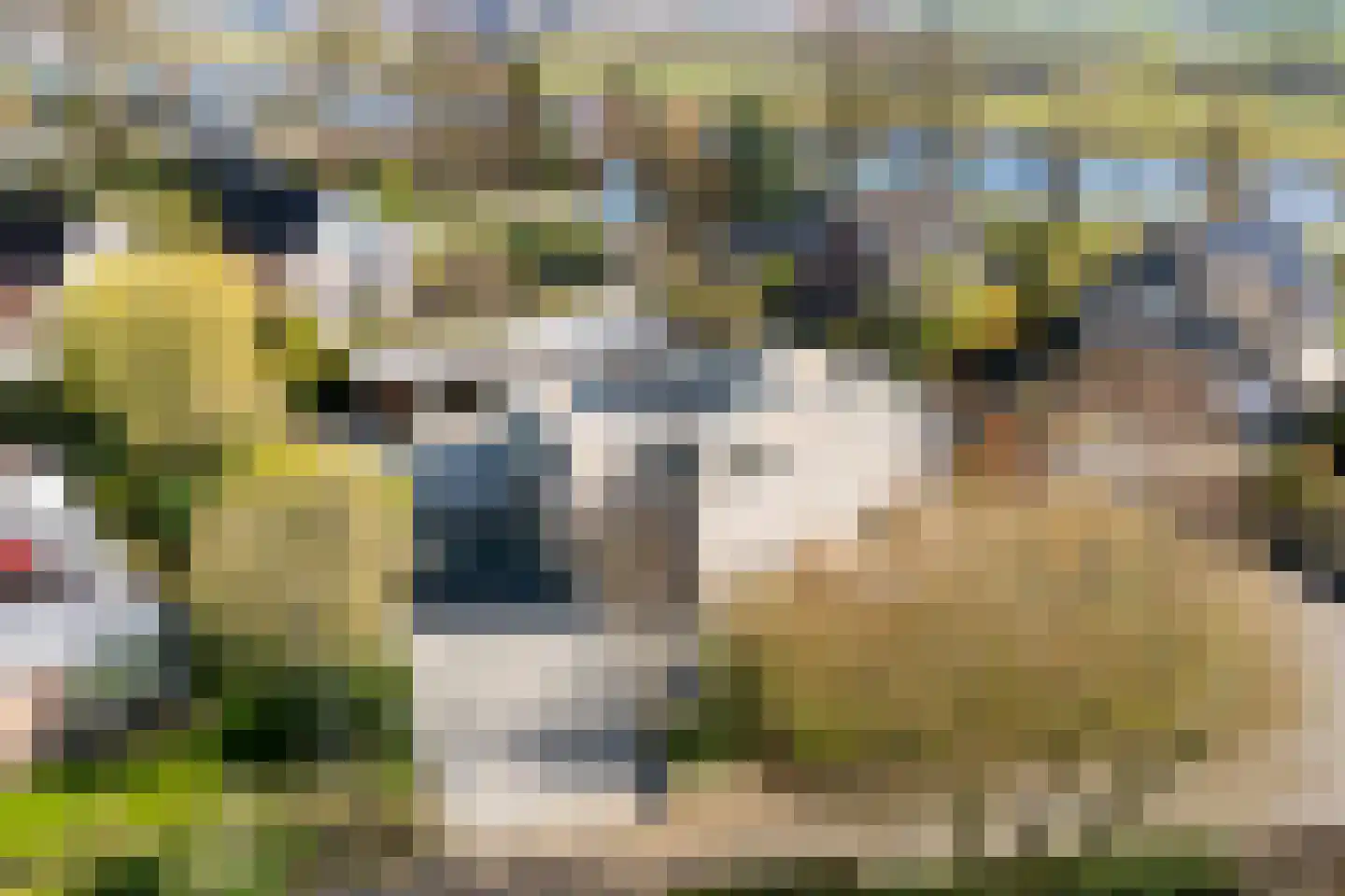 Sudermuda 25 Leeuwarden thumbnail 51
