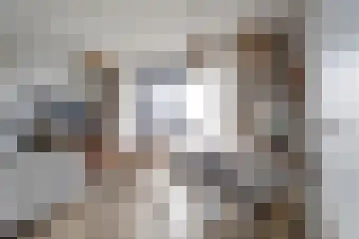 Suderséleane 25 V 004 Workum thumbnail 10