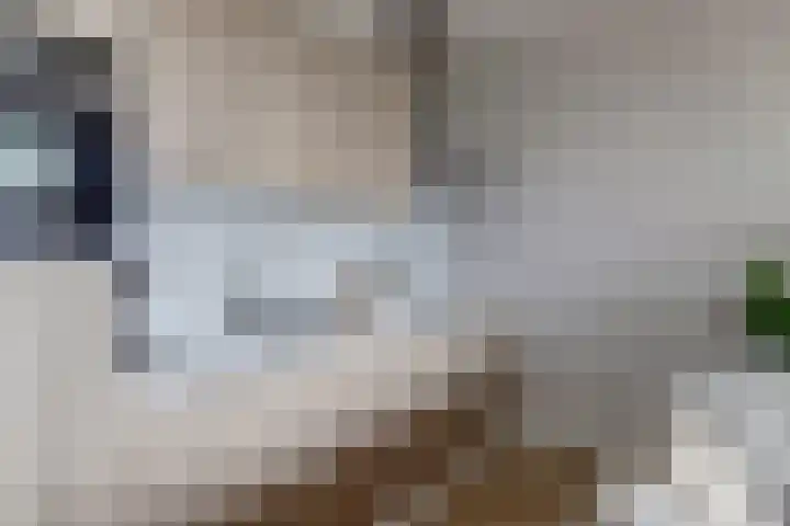 Suderséleane 25 V 004 Workum thumbnail 11