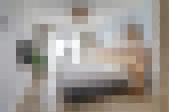 Suderséleane 25 V 004 Workum thumbnail 14