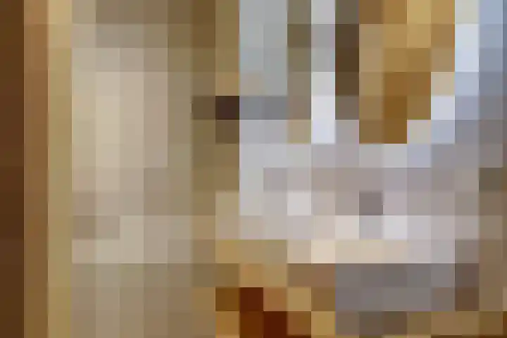 Suderséleane 25 V 004 Workum thumbnail 15
