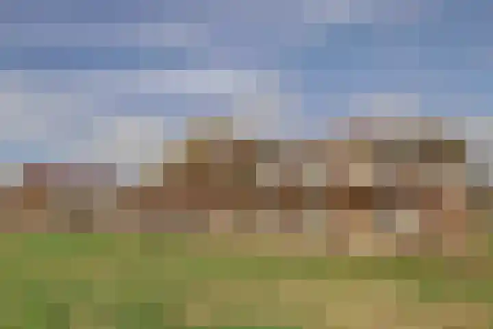 Suderséleane 25 V 004 Workum thumbnail 17