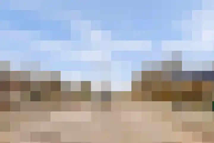 Suderséleane 25 V 004 Workum thumbnail 19