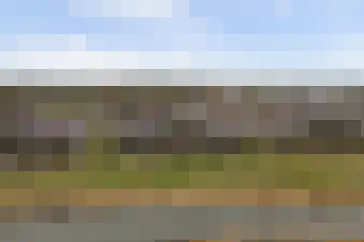 Suderséleane 25 V 004 Workum thumbnail 25