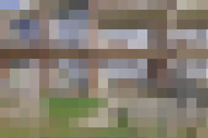 Suderséleane 25 V 004 Workum thumbnail 28