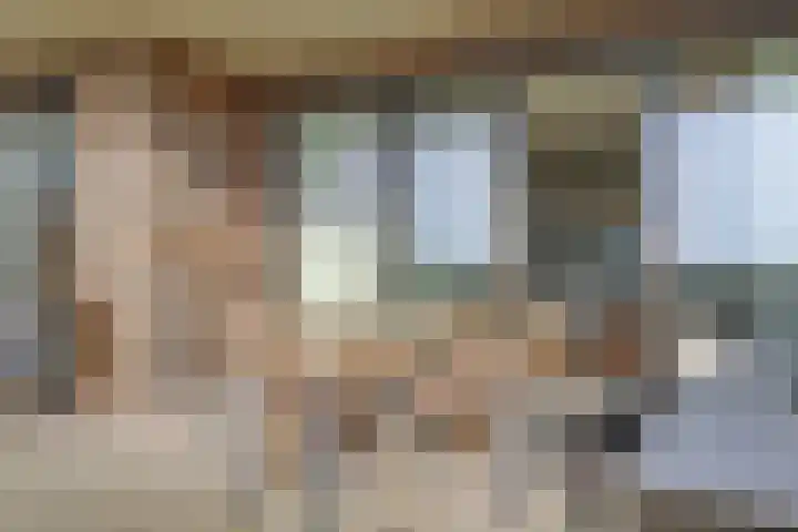 Suderséleane 25 V 004 Workum thumbnail 29
