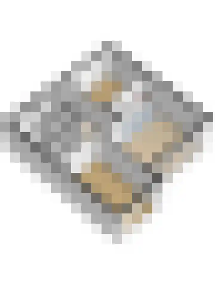 Suderséleane 25 V 004 Workum thumbnail 33