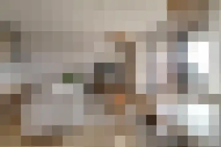 Suderséleane 25 V 004 Workum thumbnail 8