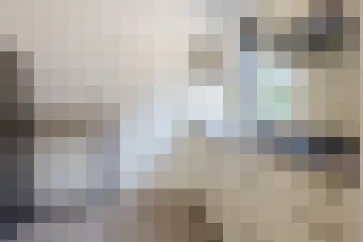 Súdkant 5 Aldeboarn thumbnail 10