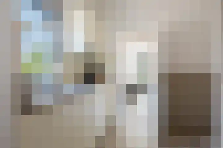 Súdkant 5 Aldeboarn thumbnail 13