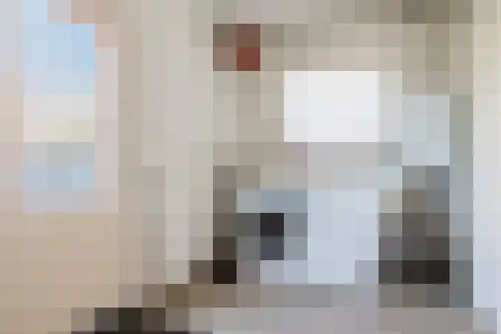Súdkant 5 Aldeboarn thumbnail 14