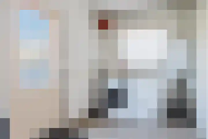 Súdkant 5 Aldeboarn thumbnail 15